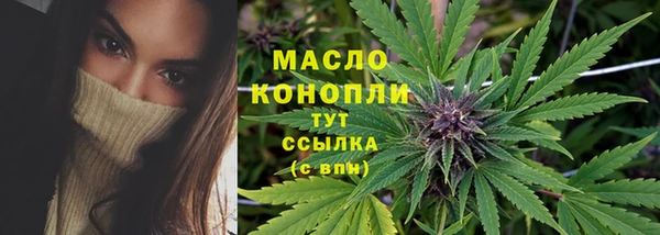 тгк Алзамай