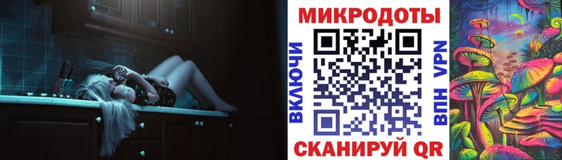как найти   Багратионовск  Псилоцибиновые грибы прущие грибы 