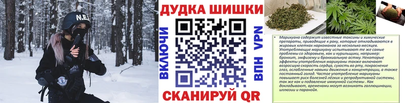 Конопля сатива Багратионовск